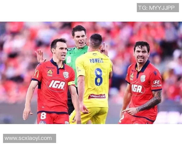 悉尼足球彩票对决惠灵顿精彩赛事分析与投注建议