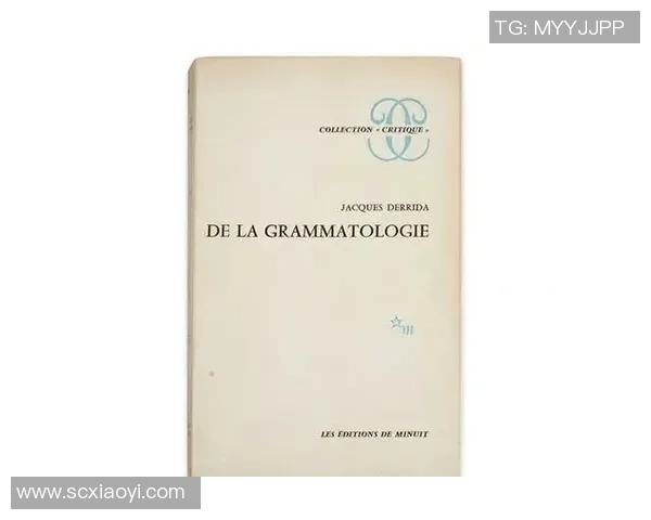 谢什科的崛起与挑战：探讨其在现代社会中的影响与意义